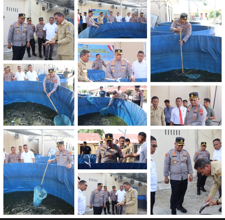 Kapolres Batu Bara AKBP DOLY NELSON H,H NAINGGOLAN ,SH,MH Bersama Dinas Perikanan Kabupaten Batu Bara,,, Panen Ikan Lele